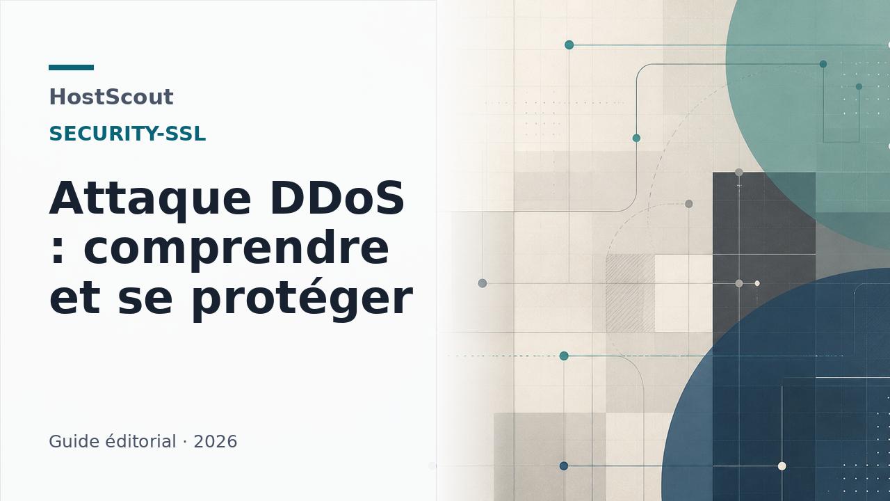 Illustration HostScout d'un trafic réseau filtré face à une attaque DDoS.